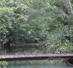 Hiking through Belize