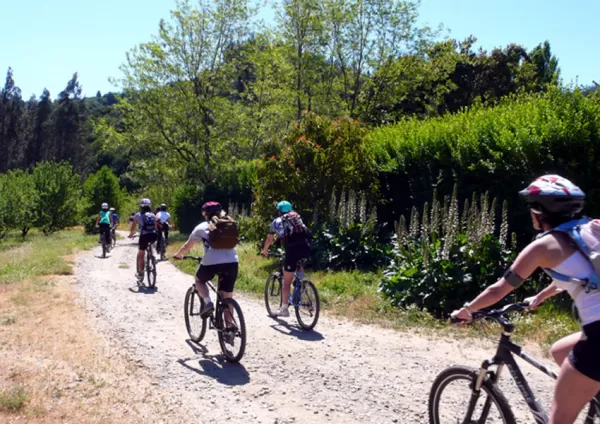 Enjoy a Bike & Wine Tour in the Santiago Region of Chile!