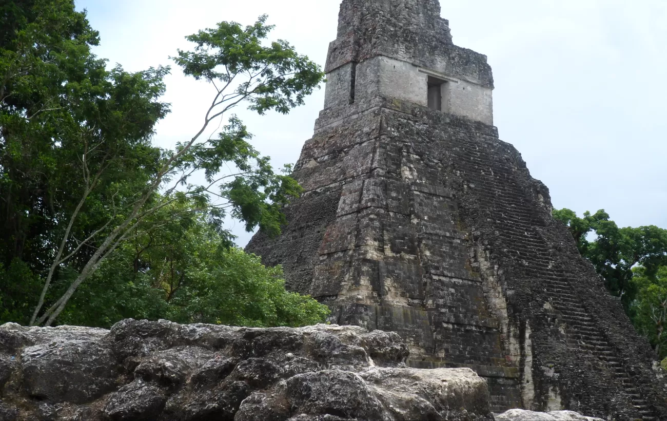 Exploring Tikal