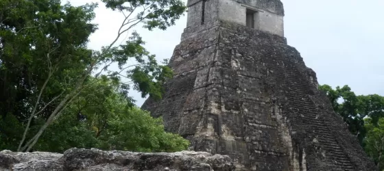 Exploring Tikal