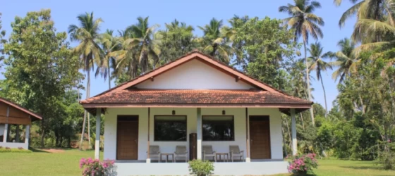Superior Room Bungalow