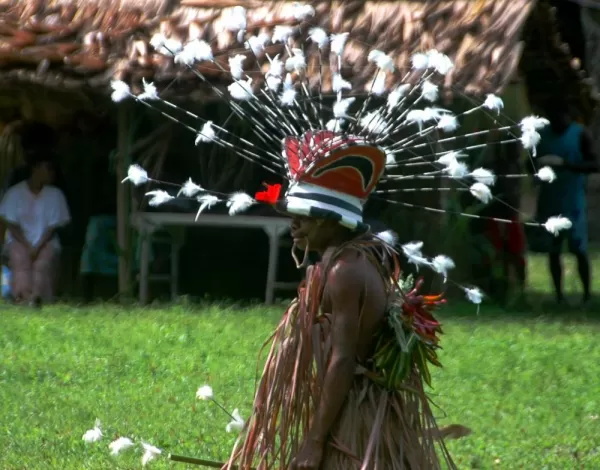 An intricate headdress of Melanesia