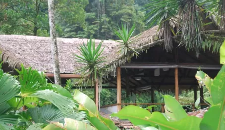 Amazing Pacuare Lodge