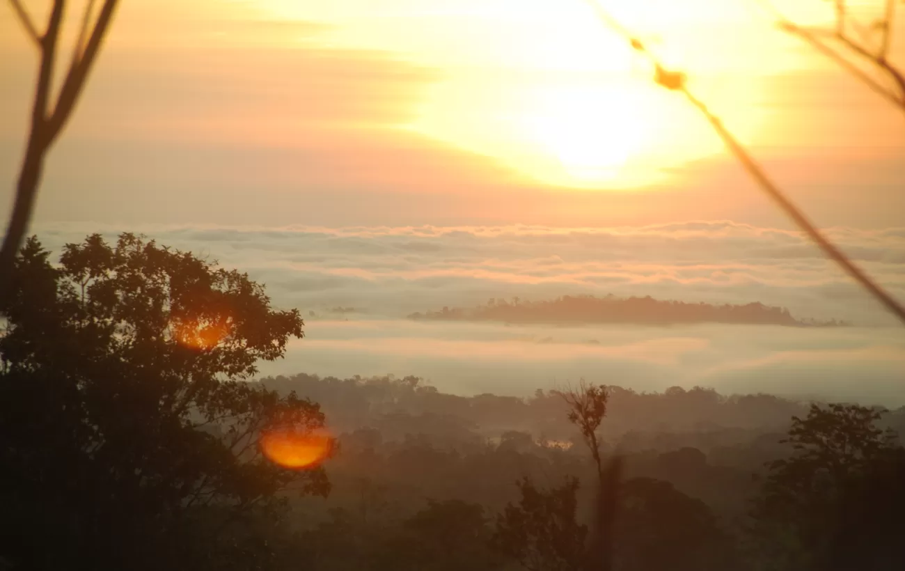 Good Morning Costa Rica! Pura vida!