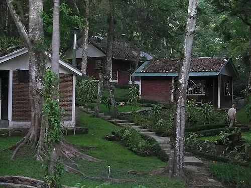 Selva Negra's charming wooded facilities