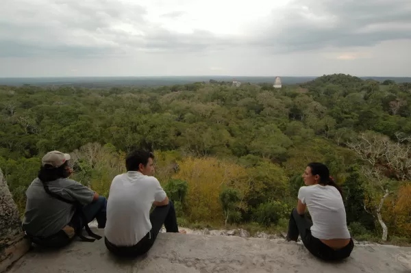 View the vast Peten Jungle from the top of Tempe IV in Tikal