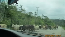 Traffic jam...  We must have come across at least 3 or 4.