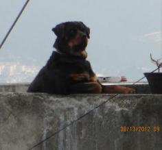 King of the hill! Not surprised Dennis snapped a pic