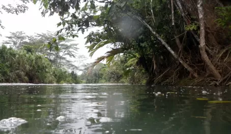 The stream that connects the lodge to the Bananito River