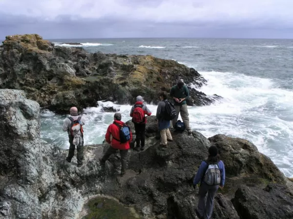 Experience the rugged coastline on Chiloe Island