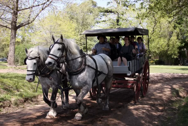 Horse drawn carriages are available for exploration