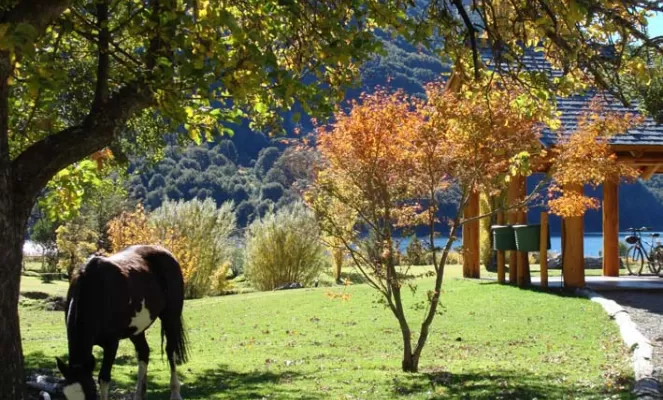 Estancia Peuma Hue is a pristine eco-resort and mountain lodge that embodies all the elements Patagonia has to offer