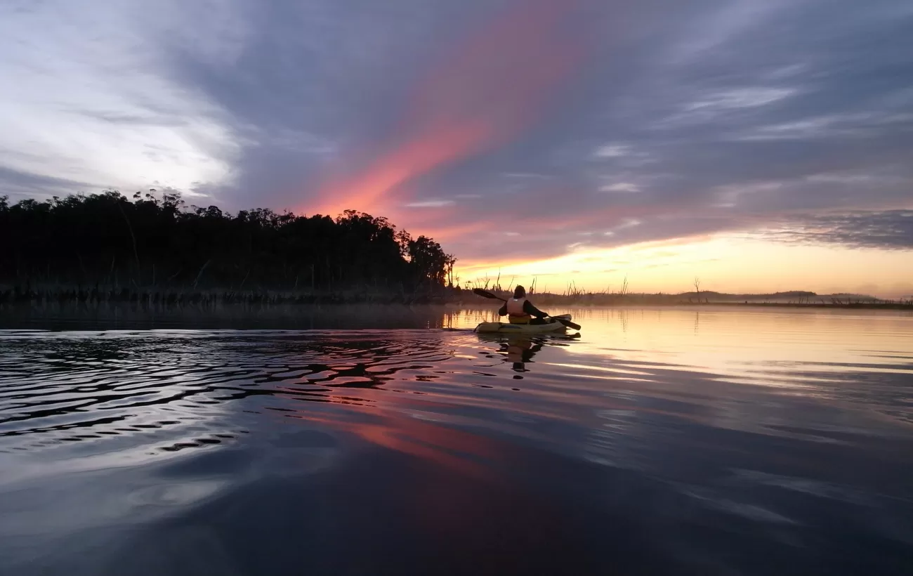 Kayak at dawn and through forest with a stay at Mirador de Chepu
