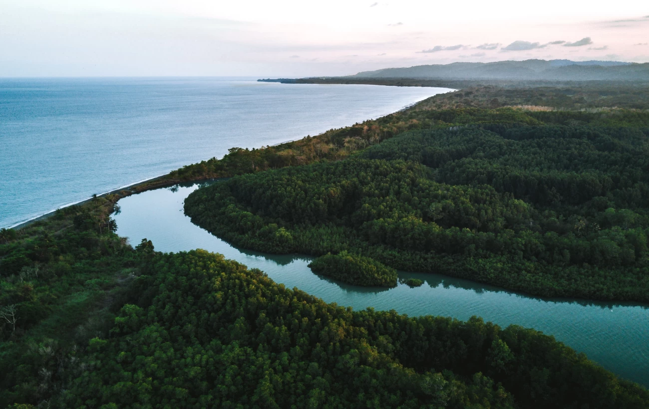 The swamps and coastline of Golfo Dulce, Osa Peninsula, Costa Rica