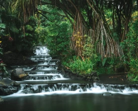 Hot Springs, Costa Rica, Arenal Tabacon