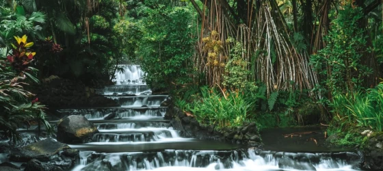Hot Springs, Costa Rica, Arenal Tabacon