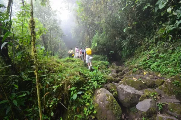 Colombia rainforest hike