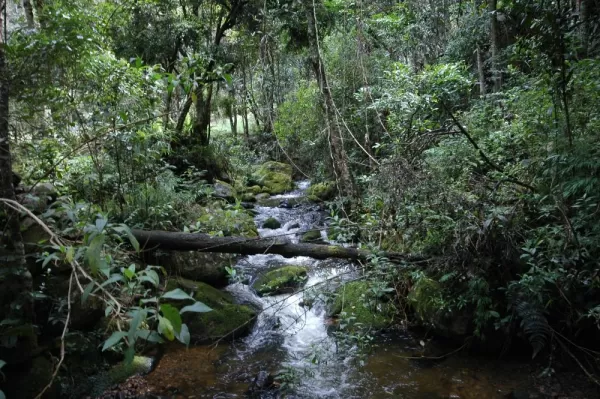 Iguaque Nature Reserve