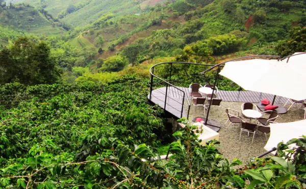 Relaxing in Colombia\'s Coffee Triangle