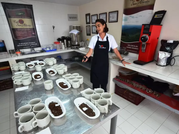 Coffee demonstrations