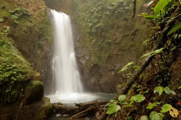 La Paz Waterfall Gardens features some of the most famous waterfalls in all of Costa Rica
