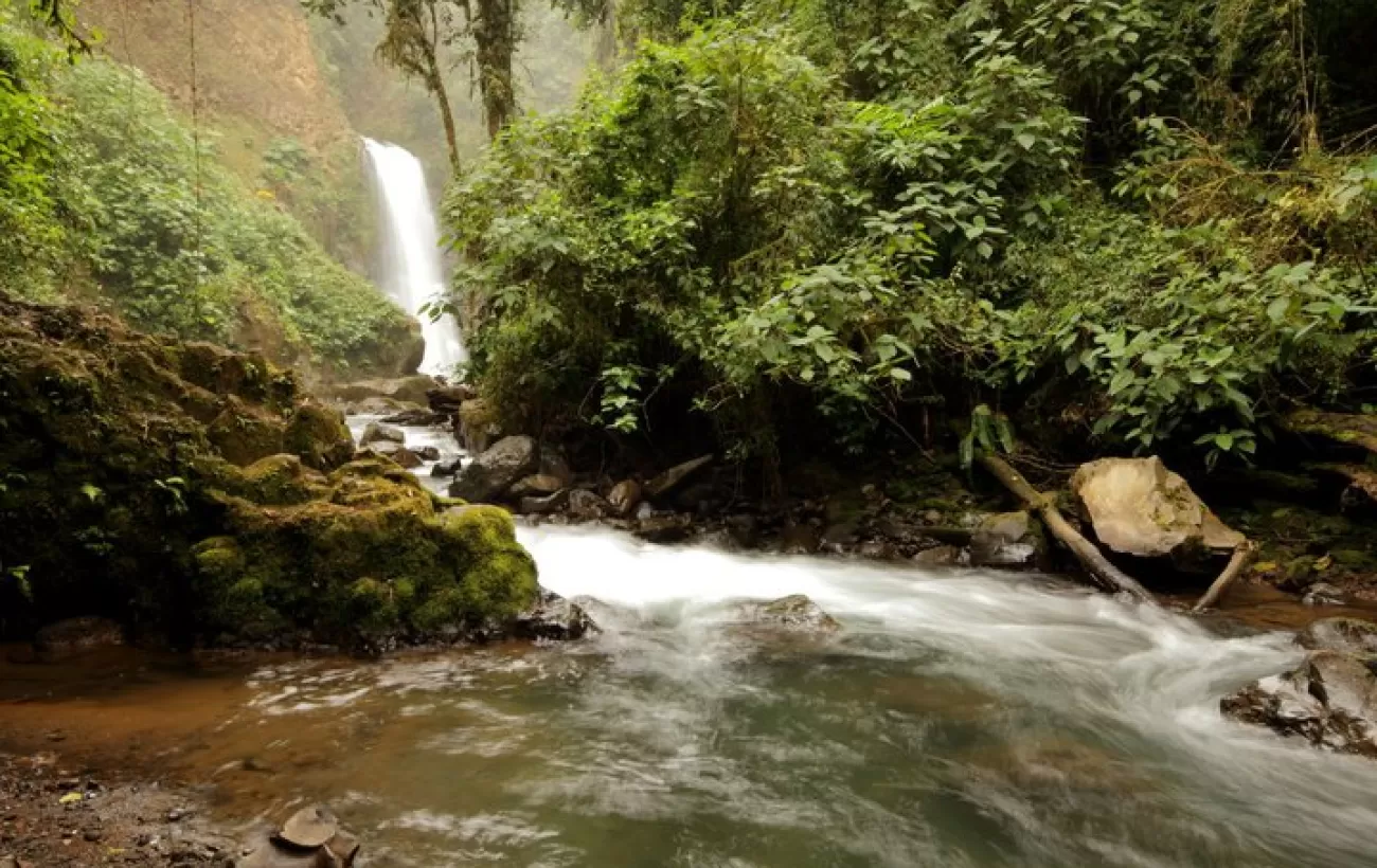 La Paz Waterfall Gardens in the most visited privately owned ecological attraction in Costa Rica