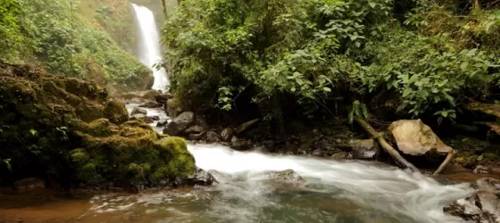 La Paz Waterfall Gardens in the most visited privately owned ecological attraction in Costa Rica