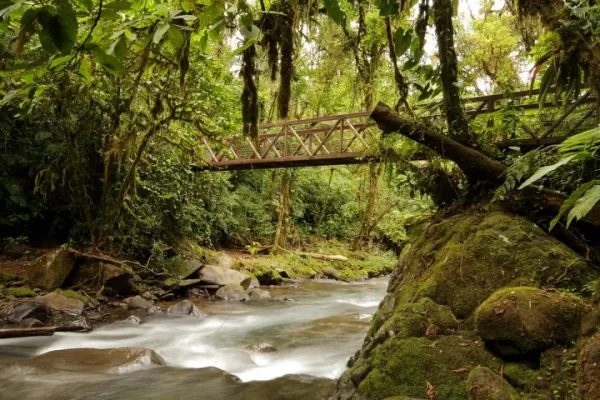 Hike the rainforest trails in La Paz Waterfall Gardens 