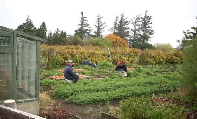The large organic garden provides fresh vegetables for meals