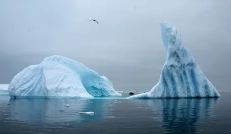 The intense cerulean of the icebergs was captivating 