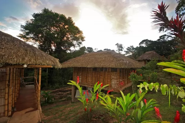 Guests are accommodated in thatched roof private bungalows