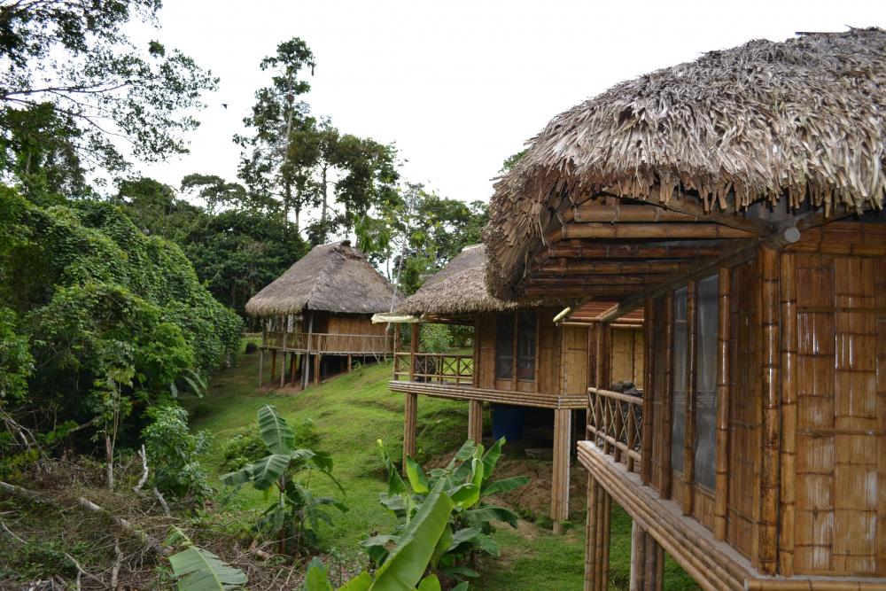 La Selva Ecolodge - Accommodation choices for your tours to the Amazon ...