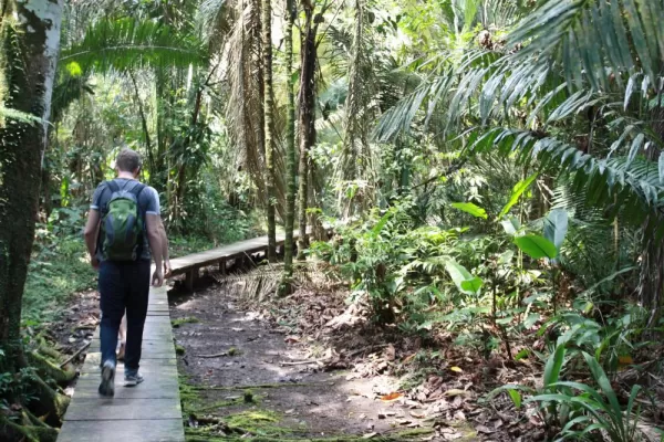 The buildings of La Selva are connected by raised wooden walkways for convenience