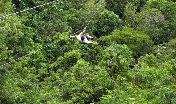 Soar over the jungle canopy on a zip line excursion