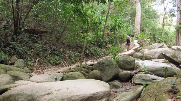 Hiking during Colombia Tour