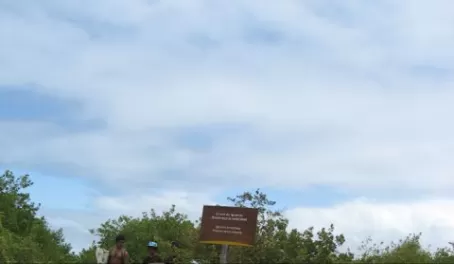 Isabela iguana crossing - with iguana and surfers
