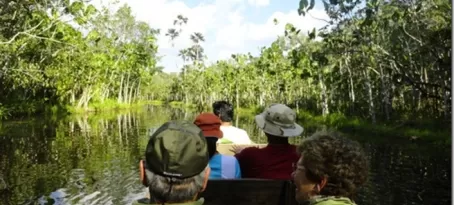Canoe ride down a jungle stream