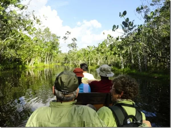 Canoe ride down a jungle stream