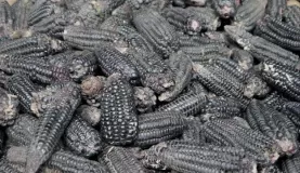 Black corn, Belen market