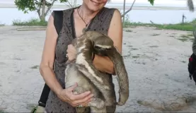Me, with sloth