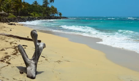 Natural tree sculpture on a beautiful tropical beach on a small remote Great Corn Island in the Caribbean Sea, Nicaragua
