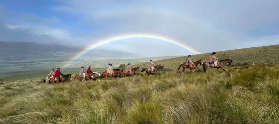 Horseback Riding