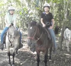 Horseback Riding