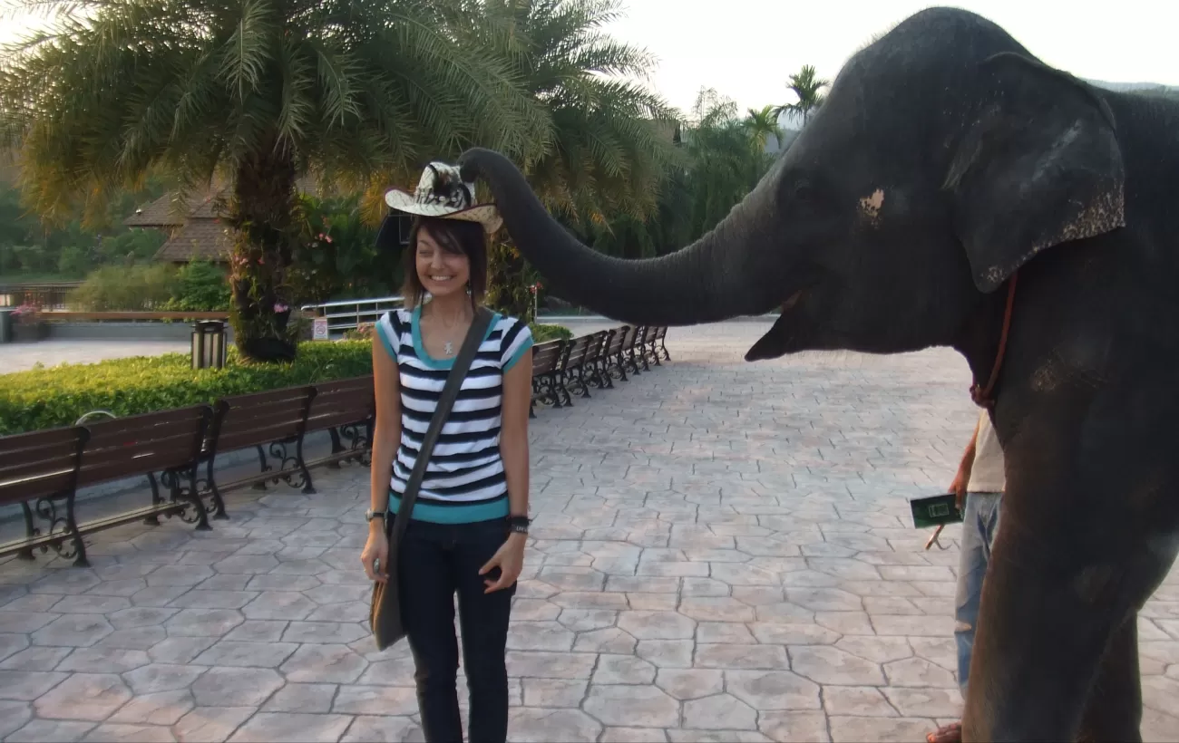 Meeting an elephant in Thailand