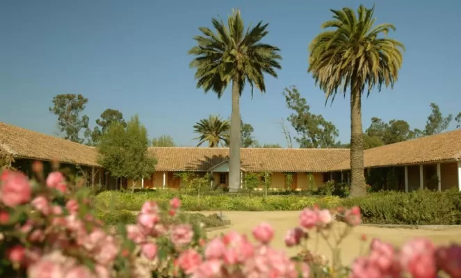 Experience the life of a small Chilean winery during a stay at La Casona Metetic