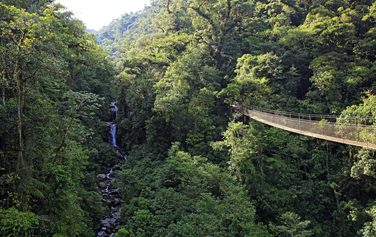 Canopy Tree Trek, Scenery with Forest and Waterfall. Boquete, Panama
