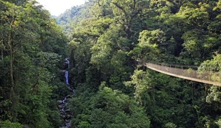 Canopy Tree Trek, Scenery with Forest and Waterfall. Boquete, Panama