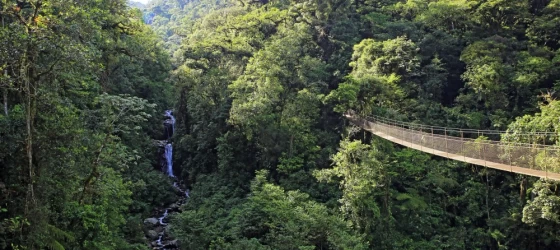Canopy Tree Trek, Scenery with Forest and Waterfall. Boquete, Panama