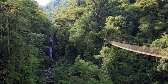 Canopy Tree Trek, Scenery with Forest and Waterfall. Boquete, Panama