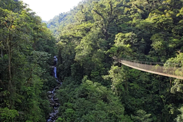 Canopy Tree Trek, Scenery with Forest and Waterfall. Boquete, Panama